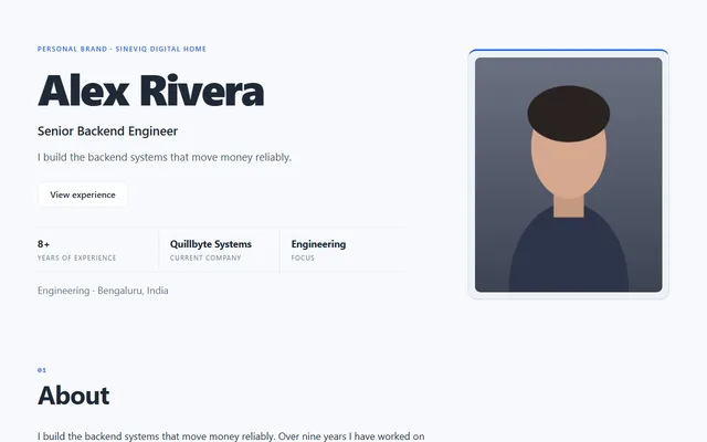 Professional Website design preview